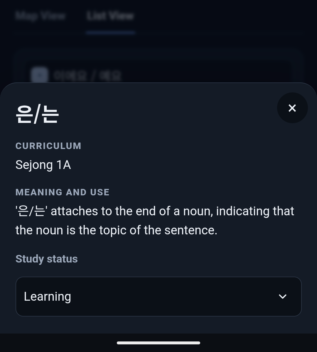 Bottom half of the Grammar Mastery detail panel for the Korean topic marker eun neun, showing curriculum, meaning and use, and a Learning status selector